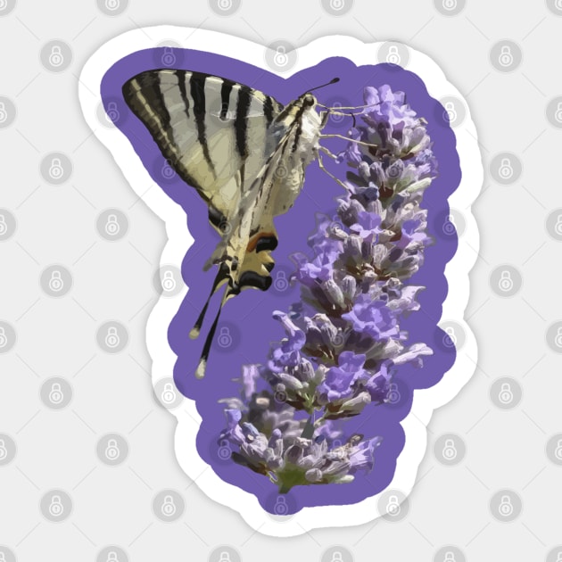 Side View Of Scarce Swallowtail Butterfly Feeding On Lilac Sticker by taiche